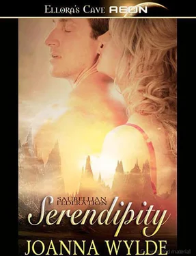 Joanna Wylde Serendipity обложка книги