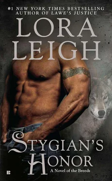 Lora Leigh Stygian's Honor обложка книги