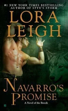 Lora Leigh Navarro's Promise обложка книги