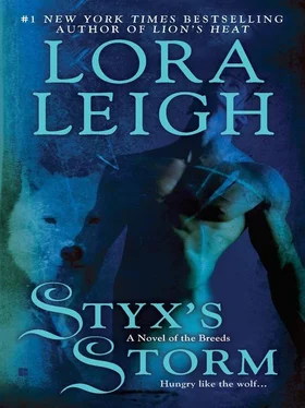 Lora Leigh Styx's Storm обложка книги