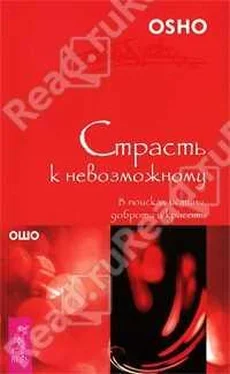 Бхагван Раджниш Страсть к невозможному. В поисках истины, доброты и красоты обложка книги