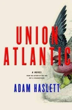 Adam Haslett Union Atlantic обложка книги