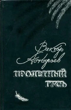 Виктор Астафьев Пролетный гусь обложка книги