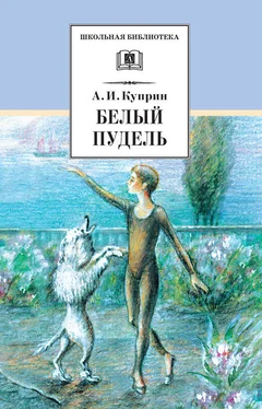 Александр Куприн Белый пудель (сборник) обложка книги