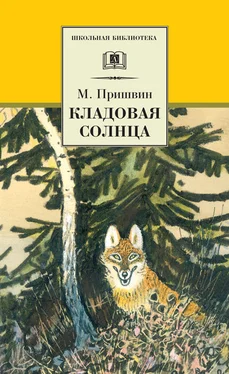 Михаил Пришвин Кладовая солнца (сборник) обложка книги