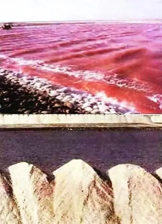 Добыча соли из морской воды не требует особого оборудования Так выглядят - фото 7