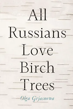 Olga Grjasnowa All Russians Love Birch Trees обложка книги