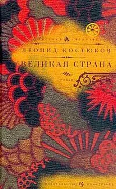 Леонид Костюков Великая страна обложка книги