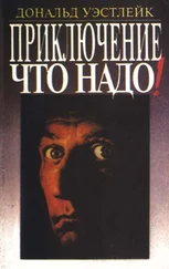 Дональд Уэстлейк - Приключение — что надо!