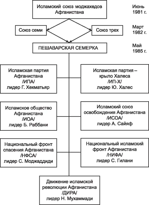 Основные контреволюционные партии Афганистана Национальный фронт спасения - фото 9