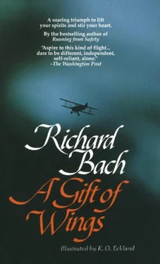 Richard Bach A Gift of Wings обложка книги