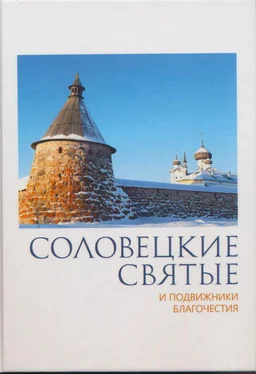 Павел Пономарев Соловецкие святые и подвижники благочестия:жизнеописания, некоторые поучения, чудесные и знаменательные случаи обложка книги