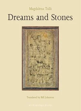 Magdalena Tulli Dreams and Stones обложка книги