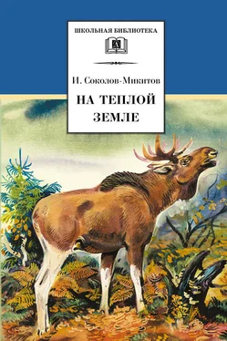 Иван Соколов-Микитов На теплой земле (сборник) обложка книги