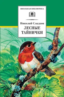 Николай Сладков Лесные тайнички (сборник) обложка книги