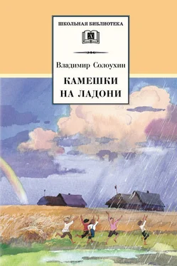 Владимир Солоухин Камешки на ладони (сборник) обложка книги