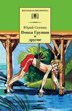 Юрий Сотник Вовка Грушин и другие (сборник) обложка книги