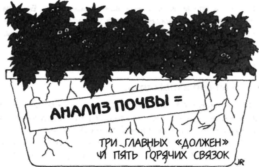 ТРИ ГЛАВНЫХ ДОЛЖЕНСТВОВАНИЯ И ПЯТЬ ГОРЯЧИХ СВЯЗОК УДОБРЯЮТ ПОЧВУ ДЛЯ - фото 53