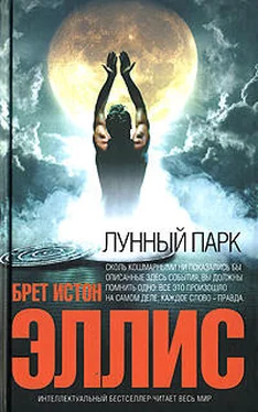 Брет Эллис Лунный парк обложка книги