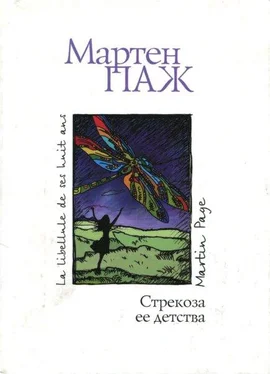 Мартен Паж Стрекоза ее детства обложка книги