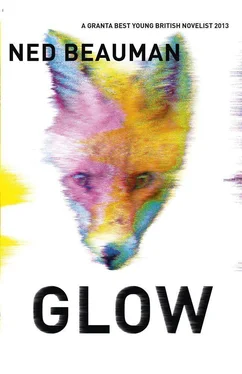 Ned Beauman Glow обложка книги