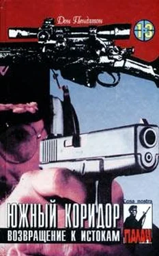 Дон Пендлтон Возвращение к истокам обложка книги