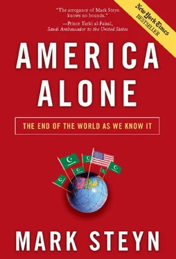 Mark Steyn America Alone обложка книги