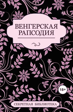 Кэй Джейби Венгерская рапсодия обложка книги