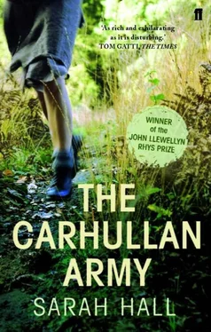 Sarah Hall The Carhullan Army обложка книги