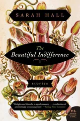 Sarah Hall - The Beautiful Indifference - Stories