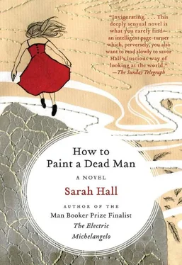 Sarah Hall How to Paint a Dead Man обложка книги