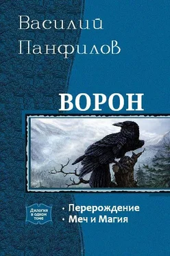 Василий Панфилов Ворон. Дилогия обложка книги