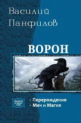 Василий Панфилов - Ворон. Дилогия