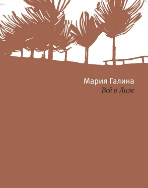 Мария Галина Всё о Лизе обложка книги