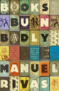 Manuel Rivas Books Burn Badly обложка книги