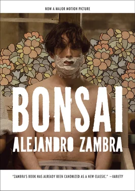 Alejandro Zambra Bonsai обложка книги