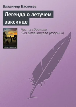 Владимир Васильев Легенда о летучем эвксинце обложка книги