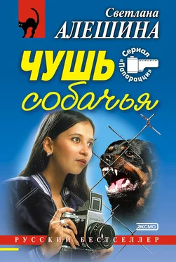 Светлана Алешина Чушь собачья (сборник) обложка книги