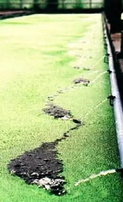Синезеленые водоросли иногда вызывающие цветение воды способны вызвать - фото 21