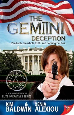 Kim Baldwin The Gemini Deception обложка книги