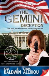Kim Baldwin - The Gemini Deception
