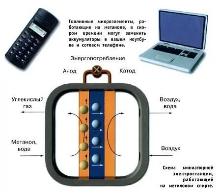 Однако ученые пока не всем довольны Профессор университета Северной Каролины - фото 3