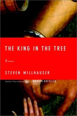 Steven Millhauser The King in the Tree обложка книги