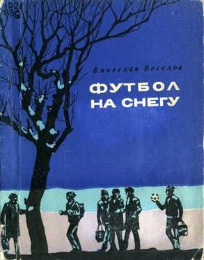 Вячеслав Веселов Футбол на снегу обложка книги