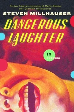 Steven Millhauser Dangerous Laughter обложка книги