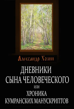 Александр Холин Дневники сына человеческого, или Хроника Кумранских манускриптов обложка книги