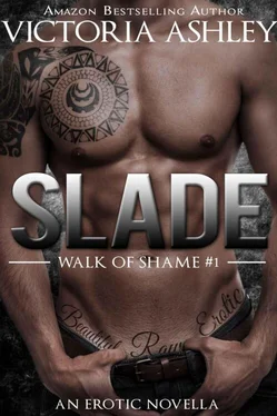 Victoria Ashley Slade обложка книги