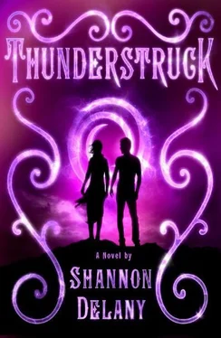 Shannon Delany Thunderstruck обложка книги