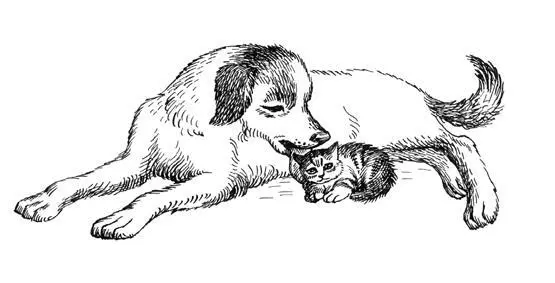 Кошка как правило прекрасная мать верно охраняющая своих детей от самых - фото 87