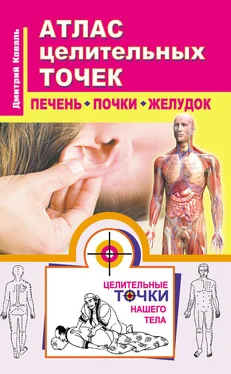 Дмитрий Коваль Атлас целительных точек. Печень, почки, желудок обложка книги